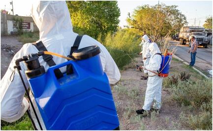 Detectan más de 100 casos de dengue en Chihuahua; el municipio Delicias registra mayores contagios 
