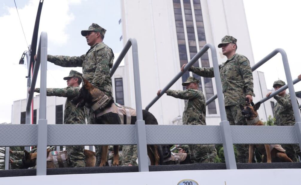 Binomios caninos en el Desfile Cívico Militar 2025. Foto: Carlos Mejía/ EL UNIVERSAL