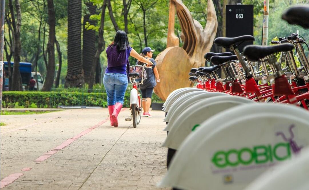 Imagen ilustrativa. Foto: EL UNIVERSAL