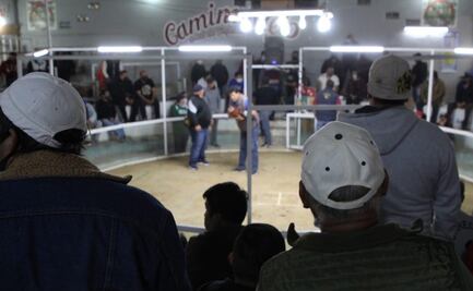 Pese a semáforo rojo, realizan pelea de gallos en Ecatepec; desalojan a 60 de un palenque