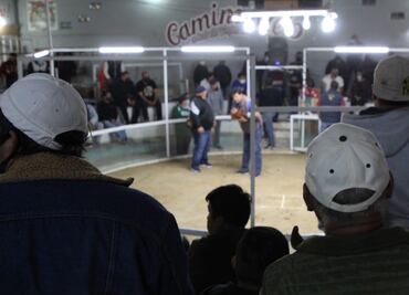 Pese a semáforo rojo, realizan pelea de gallos en Ecatepec; desalojan a 60 de un palenque