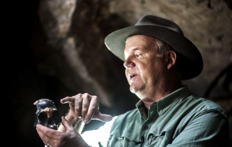¿Cómo vivía el Homo naledi, primo lejano del ser humano? Restos fósiles lo revelan