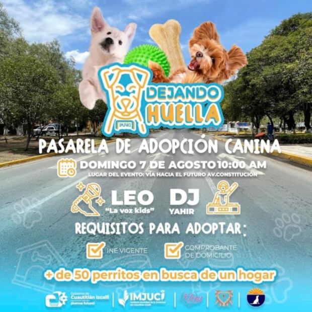 Con pasarela de adopción canina buscan que perritos encuentren una familia