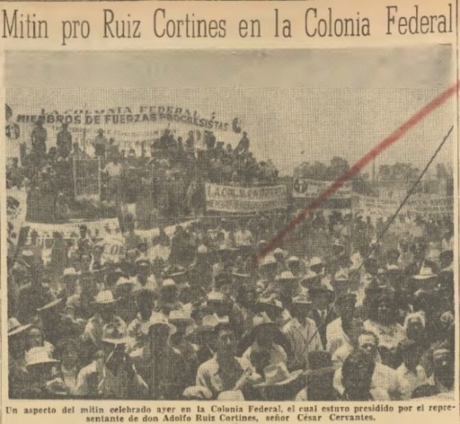 La colonia con forma de telaraña