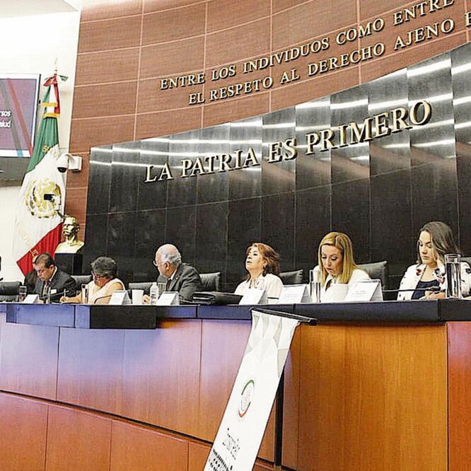 Funcionarios del sector salud comparecieron ante la Comisión de Salud del Senado. ESPECIAL