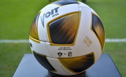 Alcaldía de Aguascalientes prevé partido Gallos-Necaxa a puerta cerrada