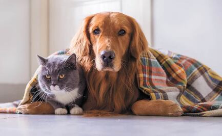 ¿A qué hora hará más frío en la CDMX y Edomex?