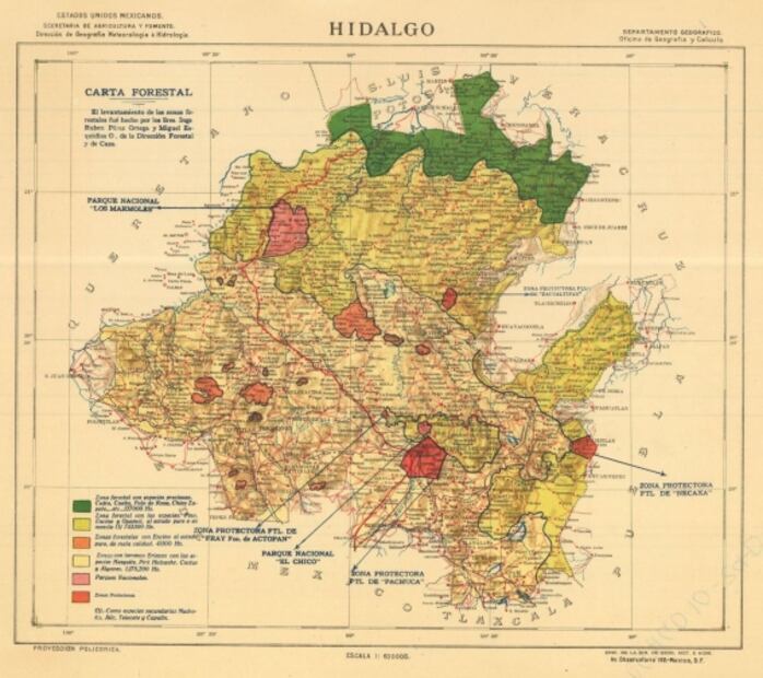 La belleza de nuestro primer Bosque Nacional 