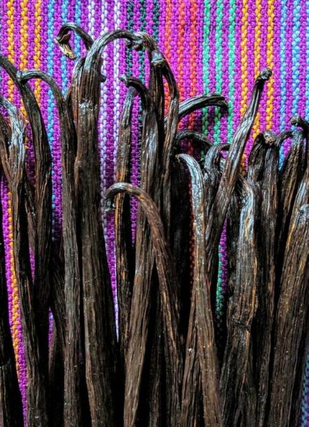 5 proyectos gastronómicos que tienes que conocer