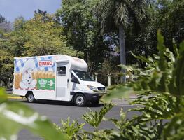 Grupo Bimbo: Informe Anual 2024 reporta un avance sobre sus metas en sustentabilidad; más del 90% de los empaques son reciclables