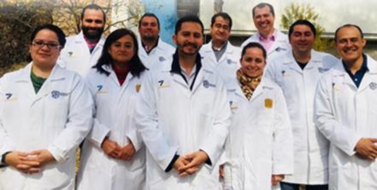 Científicos estudian plantas mexicanas para combatir la obesidad