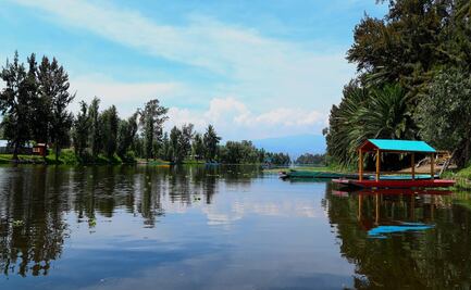 Un encuentro de México y Chile en las chinampas