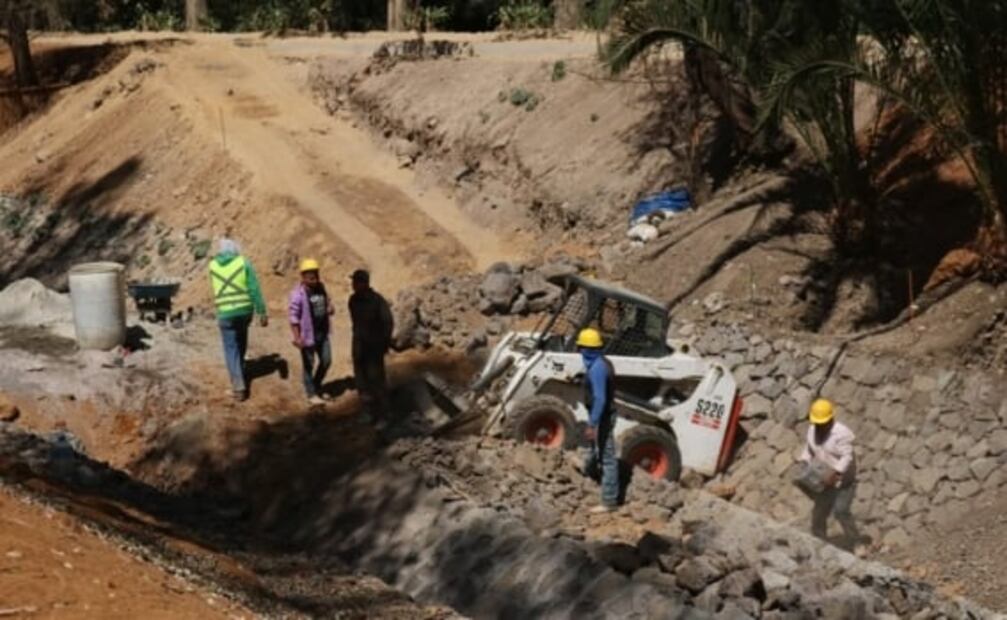 Aseguran especies tras obras en parque lineal Canal Nacional