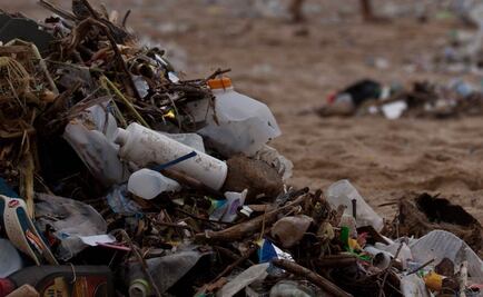 En 2050 habrá más plástico que peces en el mar