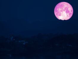 Luna de Fresa 2025 en México: ¿por qué se le llamá así al fenómeno astronómico de junio?; esto se sabe