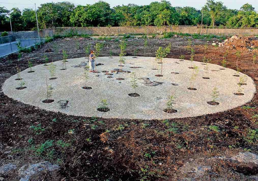 Diseño circular para la distribución de siembra de árboles de neem en un patio escolar para “Campo magnético” (2011). Crédito: Omar Said