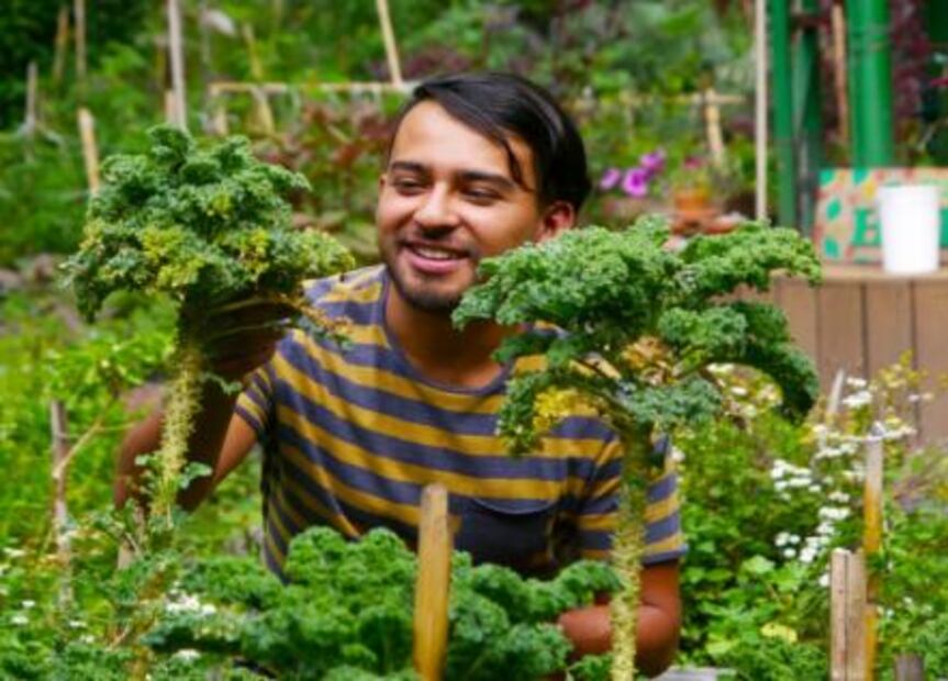 Hornea tu propia concha en este tour gastronómico de la CDMX