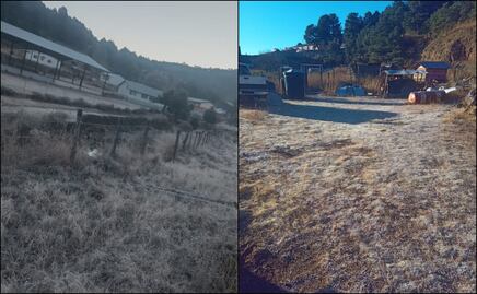 Frente frío 14 provoca temperaturas extremas de hasta -14.8°C en Chihuahua; algunos ciudadanos se refugiaron en albergues habilitados
