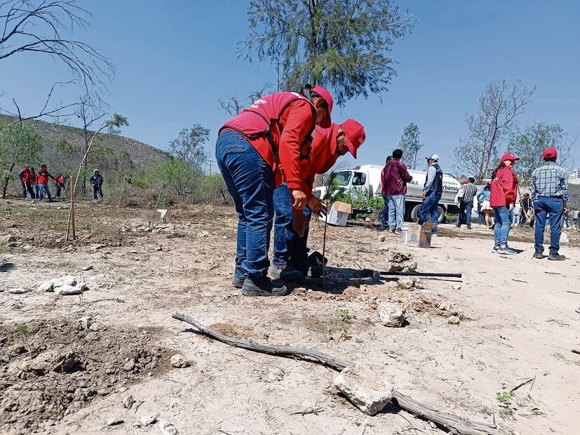 Bosque de la Vida, junto con Un árbol, una vida, son parte del programa
de Pulmones Urbanos impulsado por el DIF de la capital potosina. Foto: de  Xochiquetzal Rangel