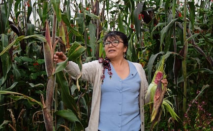 A la defensa del maíz nativo en la CDMX