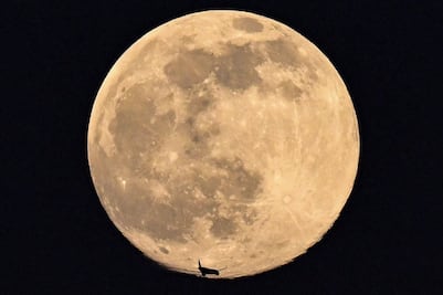 Noche de Luna llena. ¿Qué debemos saber?, doctor José Franco 