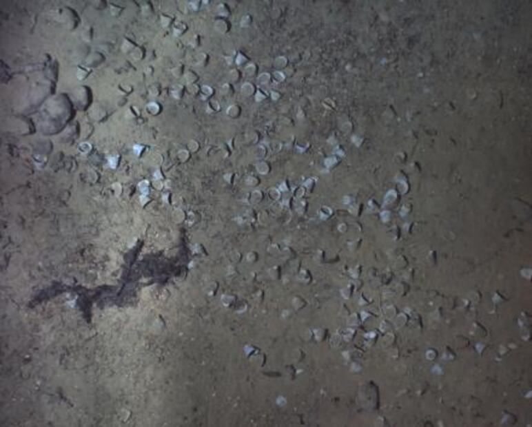 Difunden nuevas imágenes del "Santo Grial de los naufragios"