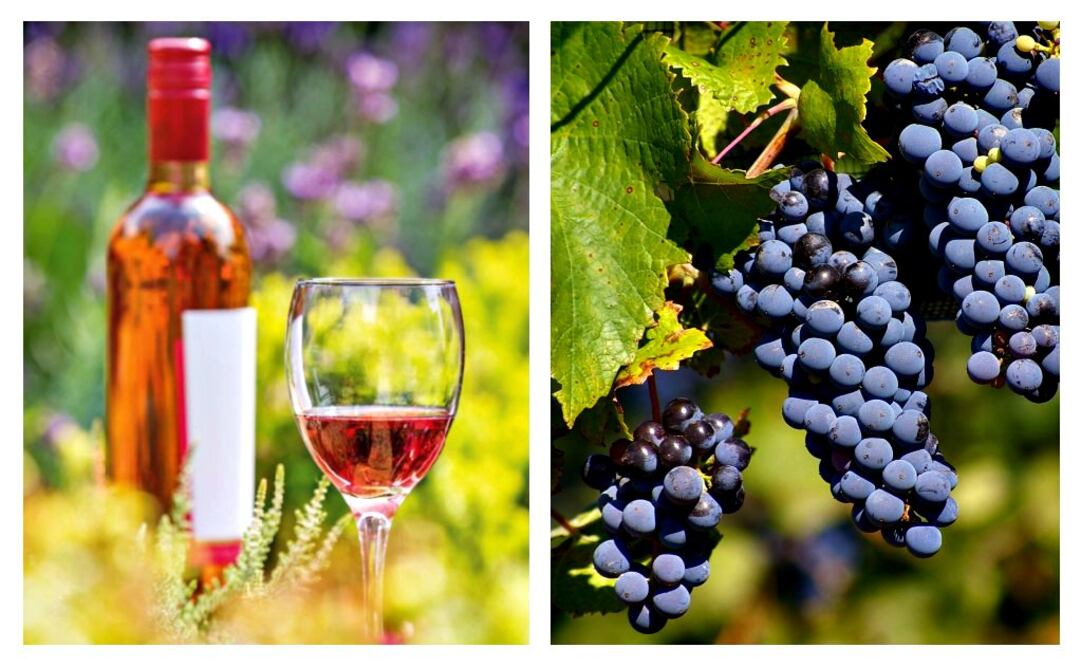 Los vinos rosados son una opcion muy socorrida para días frescos y soleados.