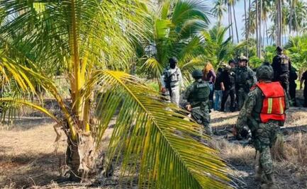 Desaparece familia en Petatlán, Guerrero; elementos del Ejército y de la Guardia Nacional se unen a la búsqueda