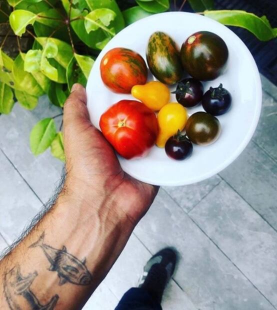 Seis variedades de tomates que alguna vez has comido y no lo sabías  