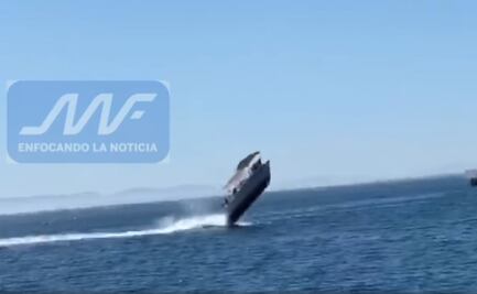 Choca embarcación con ballena jorobada en bahía de La Paz, BCS; hay 5 lesionados 