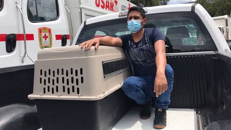 Rescatan a más de 40 mascotas en zona del deslave en el Cerro del Chiquihuite