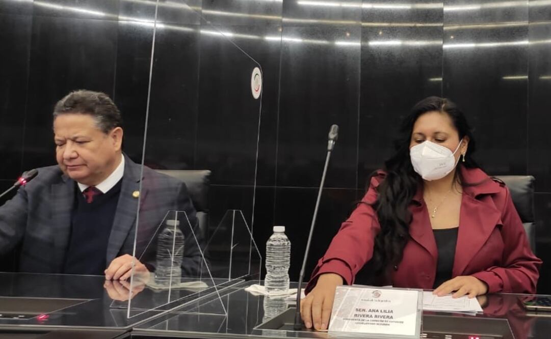 Las Comisiones de Justicia y Estudios Legislativos, Segunda, aprobaron con 14 votos a favor. Foto: Twitter @Ana_LiliaRivera