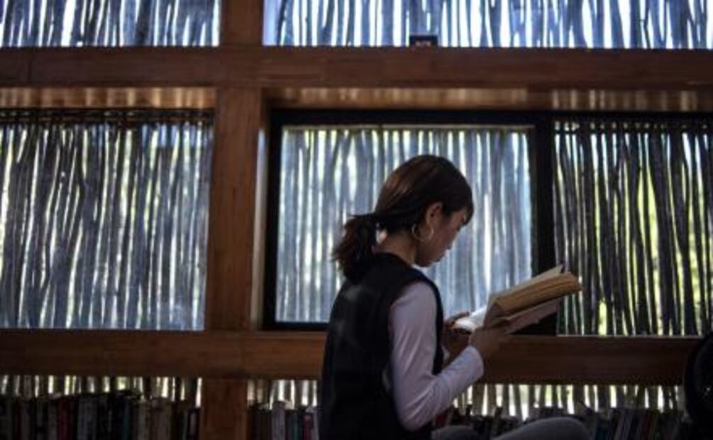 Una sorprendente biblioteca en medio de un bosque en Pekín