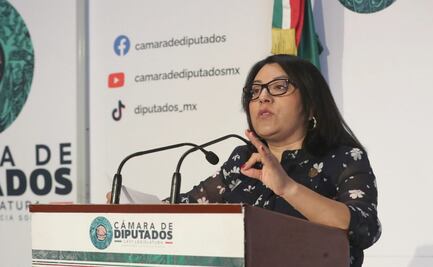 Diputada del PT condena mantas de “narcopolíticos de Oaxaca” por voto contra reforma electoral; acusa intimidación de Morena