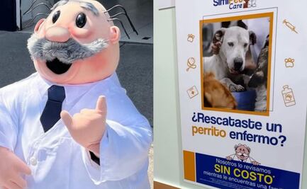 SimiPet Care: veterinaria ofrece consultas gratis a perritos rescatados; ¿cómo aplica? 
