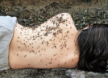 Develar y detonar a México hoy