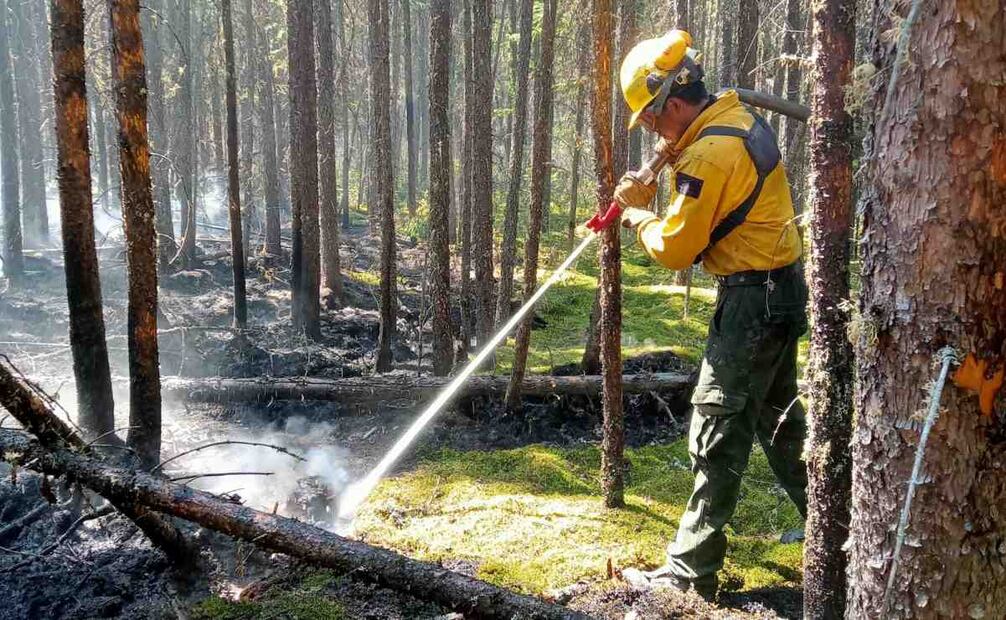 Brigadas mexicanas combaten incendios forestales en la provincia de Manitoba, Canadá. Foto: Conafor