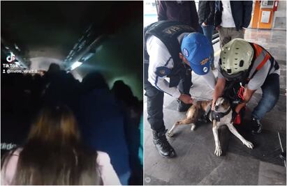 Línea 7 sin luz, la 5 tarda 1 hora para avanzar, un perrito... ¿Qué pasa en el Metro este miércoles?