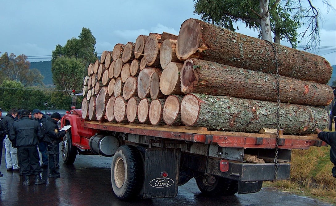 Diputados aprueban endurecer castigo contra delitos ambientales. Foto: Archivo/EL UNIVERSAL
