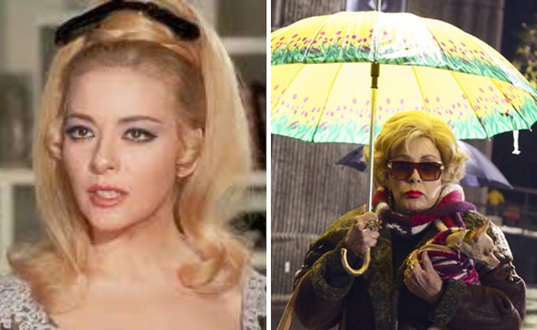 Tercera llamada y El escandaloso encanto de los egos rotos son prueba de que su talento permaneció intacto hasta el final.
Foto: Captura de pantalla en x