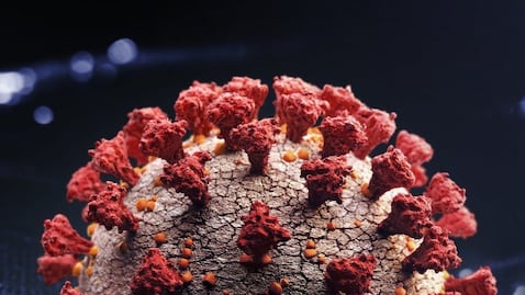 ¿Por qué causa preocupación la variante B.1.1.529 de Covid en Sudáfrica?