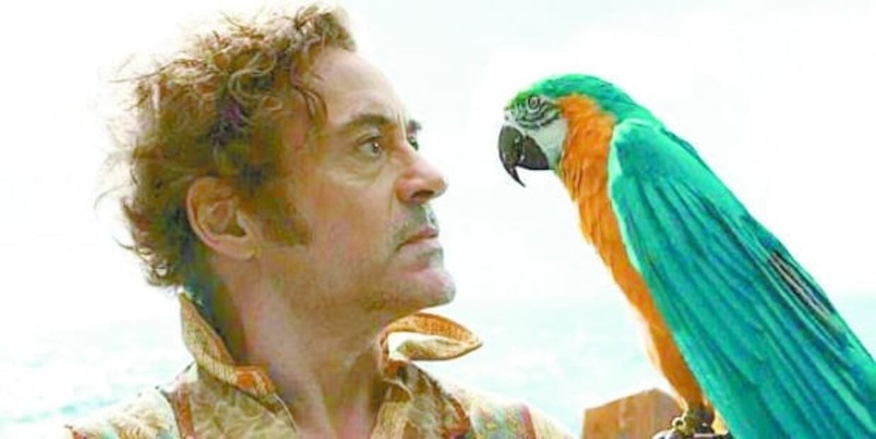 Regina Orozco se topa con su "alter ego" guacamaya en "Dolittle"