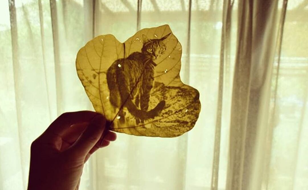 Foto: Instagram Hiro Shiba