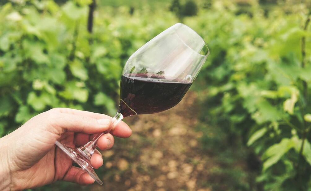 Entre los principales usos de la uva se destaca la elaboración de vino. Foto: Pexels