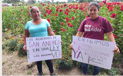 Piden a AMLO incluir reforma a favor de los pueblos indígenas en el paquete de inicativas que enviará el 5 de febrero