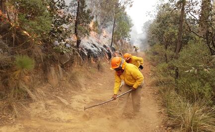Incendio forestal en Valle de Perote fue deliberado: Cuitláhuac García 