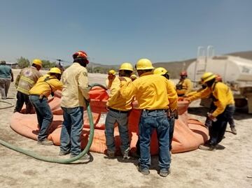 Incendios forestales activos en Tamaulipas; autoridades combaten focos en Tula y Villa de Casas