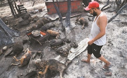 Incendios en Argelia suman 38 decesos