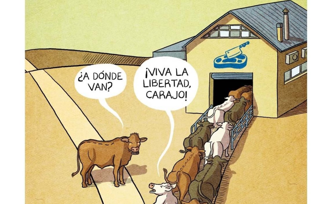 Cartón de CHELO