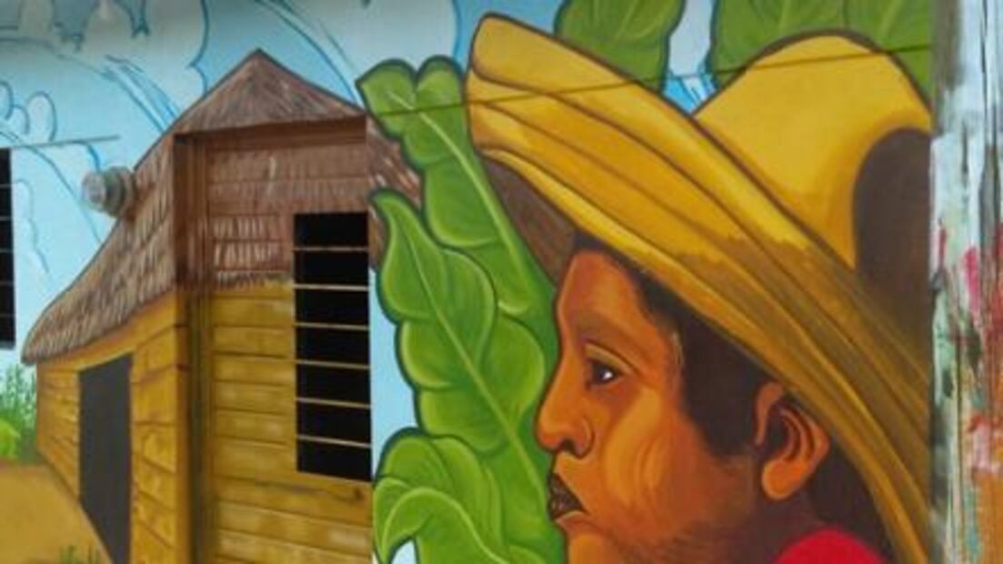 Recrean la vida comunitaria zoque en murales